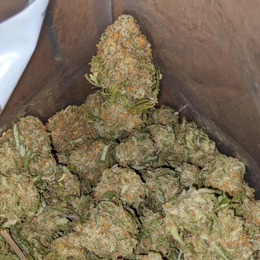 White Rhino 3 I White Rhino