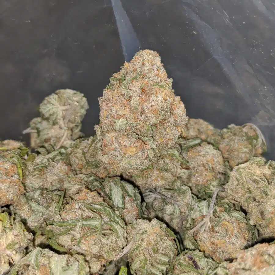 alien cookies 1 1 I $ 57 Oz - Alien Cookies