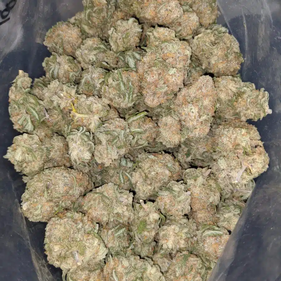 alien cookies 3 1 I $ 57 Oz - Alien Cookies