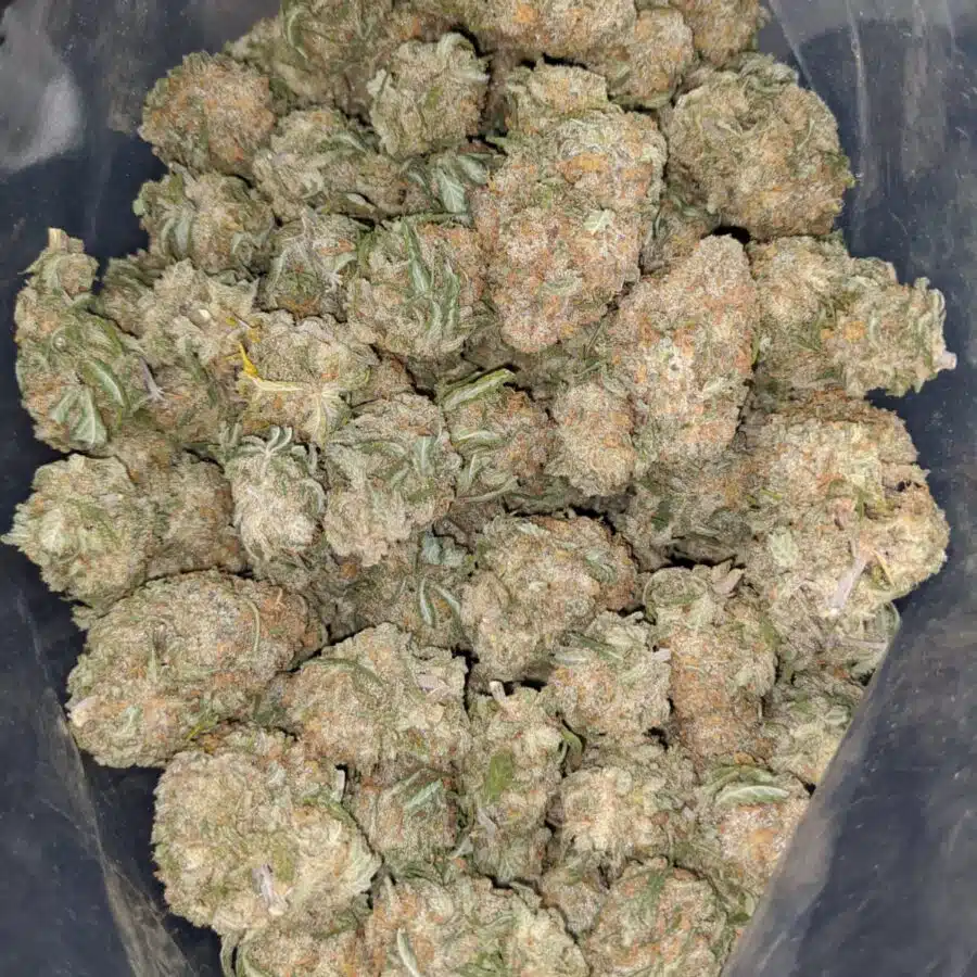 alien cookies 4 1 I $ 57 Oz - Alien Cookies