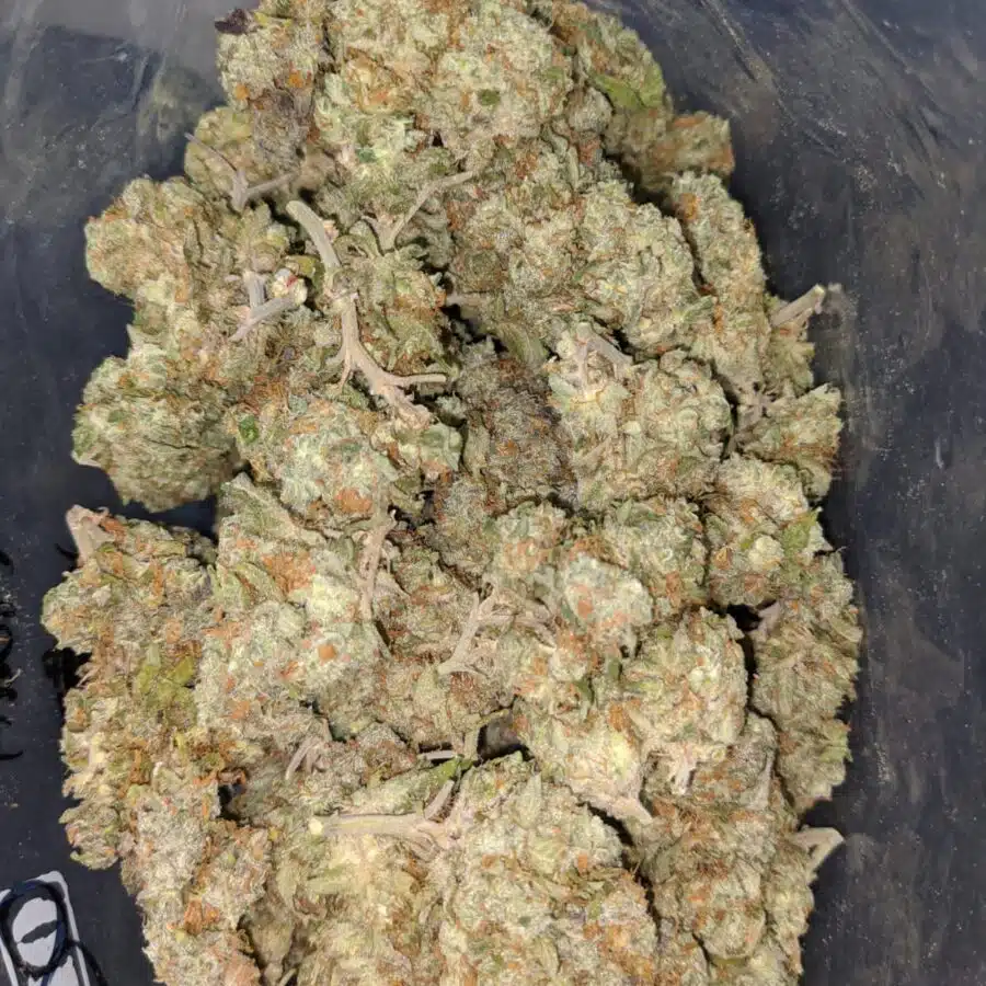 ghost train og 1 I Ghost Train OG