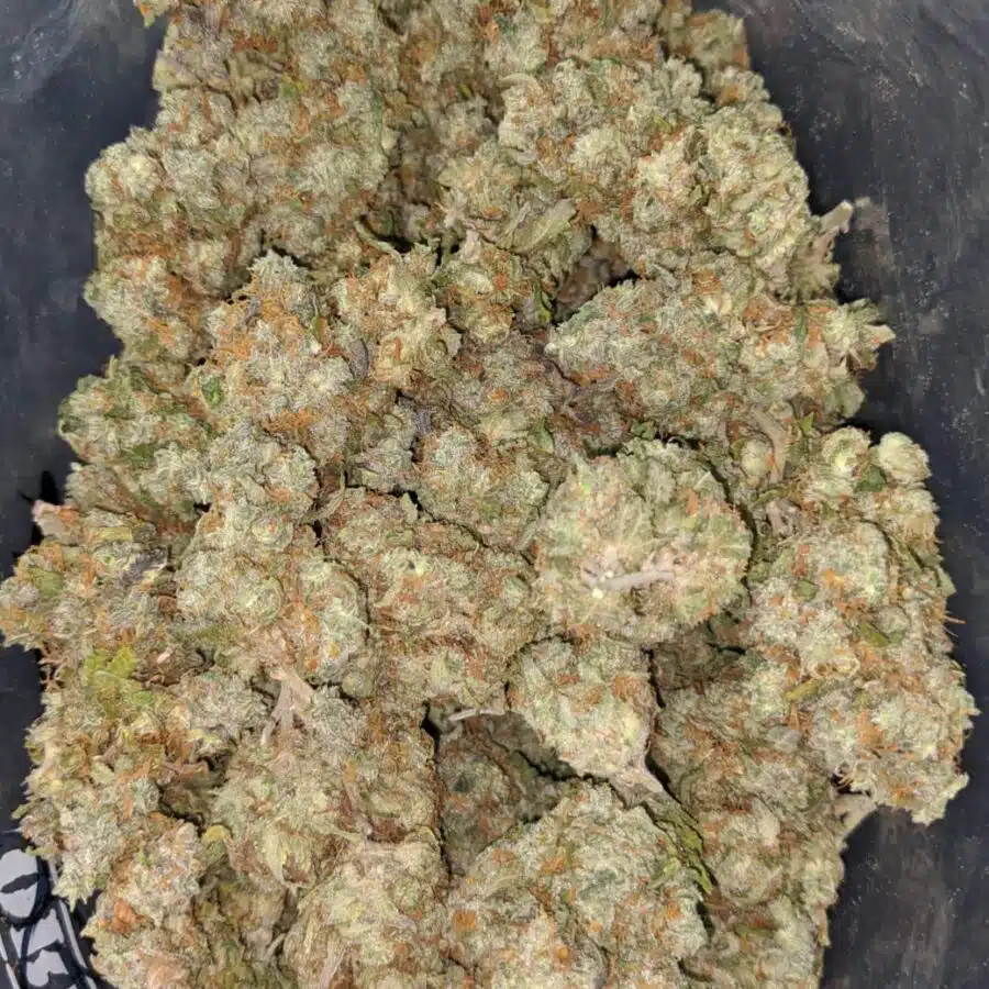 ghost train og 2 I Ghost Train OG