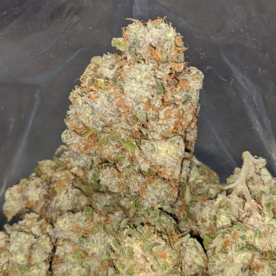 ghost train og 3 I Ghost Train OG
