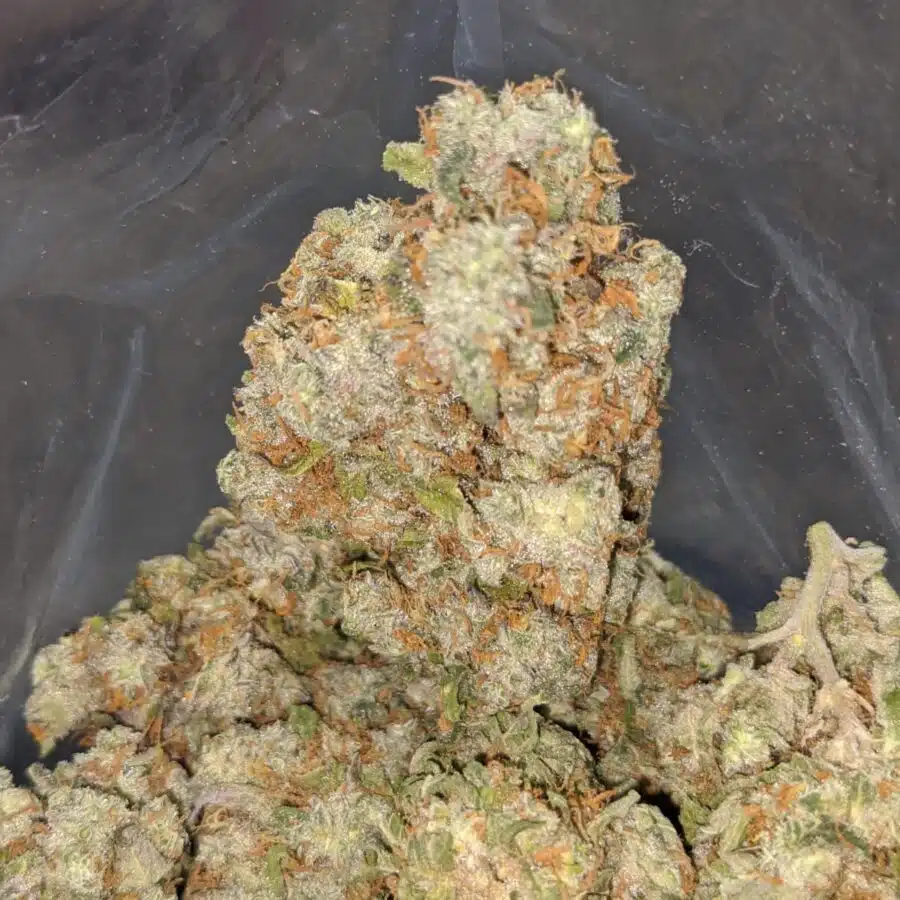 ghost train og 4 I Ghost Train OG
