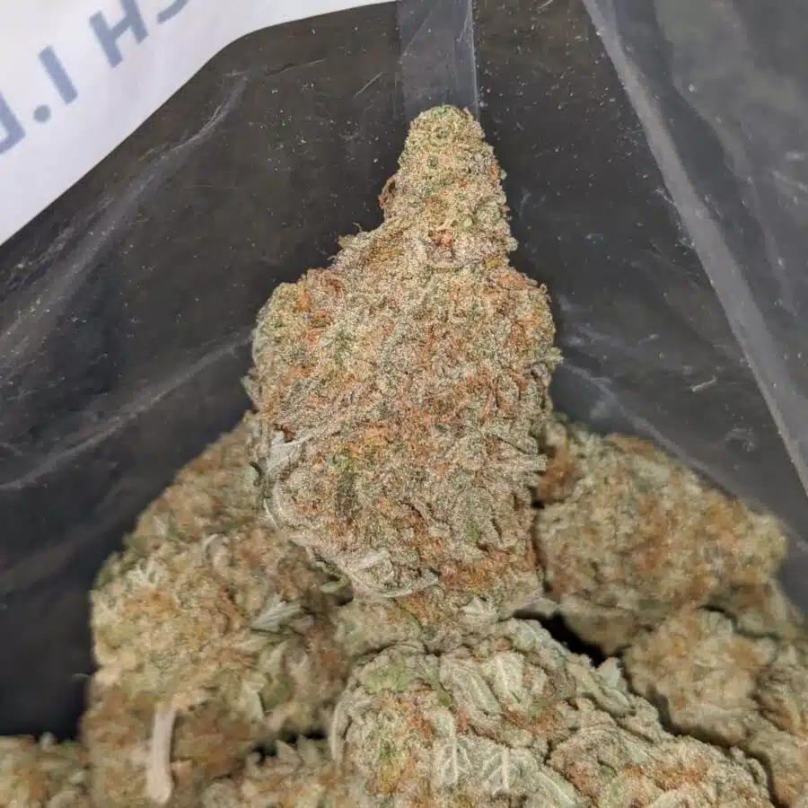 grapefruit 1 1 I $ 51 Oz - Grapefruit