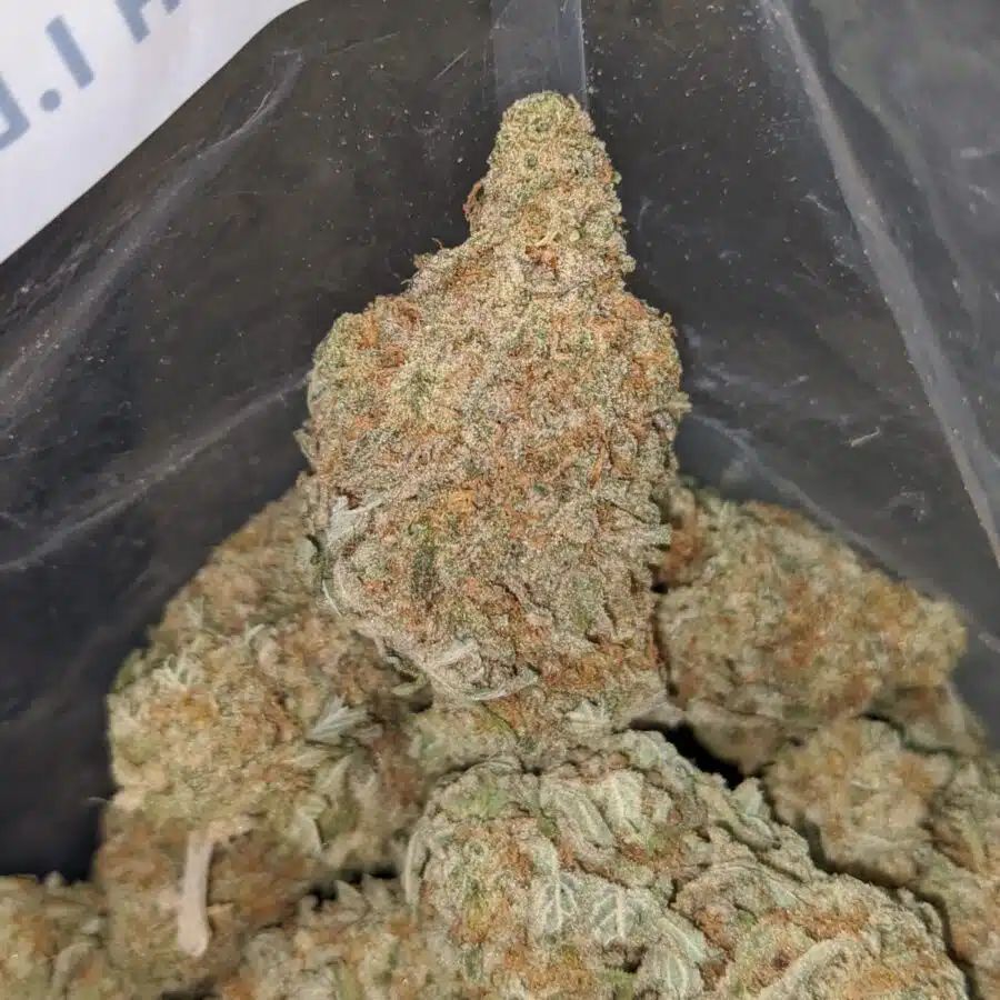 grapefruit 2 1 I $ 51 Oz - Grapefruit
