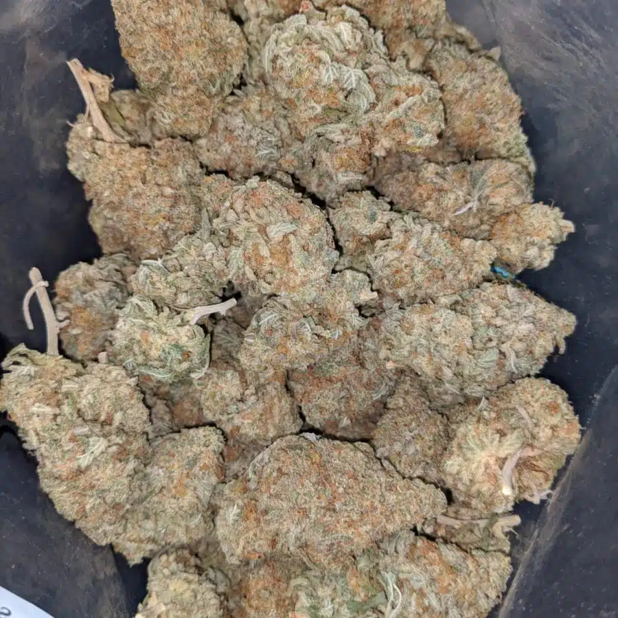grapefruit 4 1 I $ 51 Oz - Grapefruit