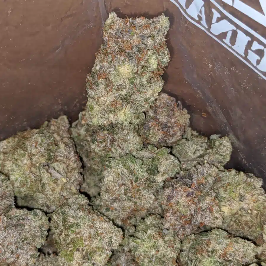 island pink aaaa 1 I Coastal Pink