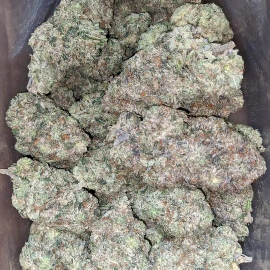 killer queen 1 I $ 128 Oz - Killer Queen