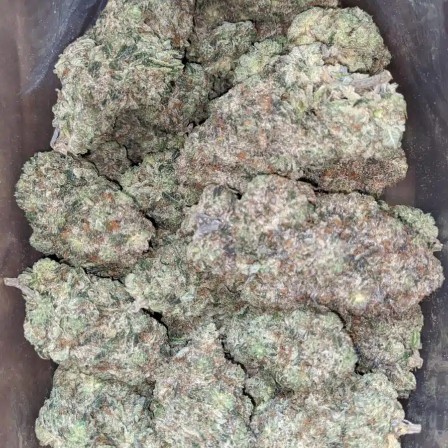 killer queen 2 I $ 128 Oz - Killer Queen