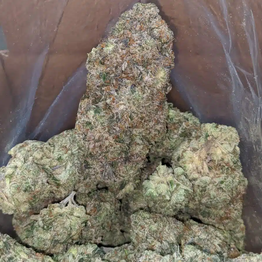 killer queen 3 I $ 128 Oz - Killer Queen