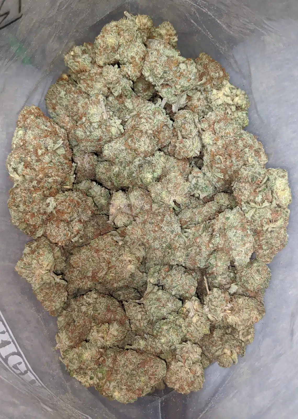 $ 53 Oz - Limoncello - Image 5