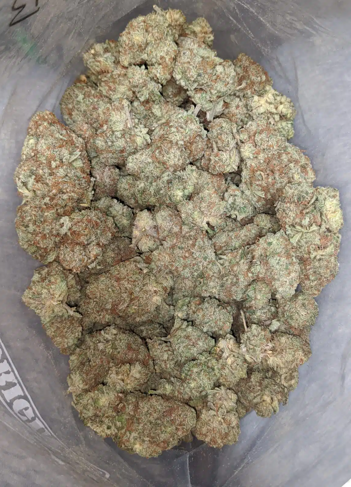 $ 53 Oz - Limoncello - Image 4