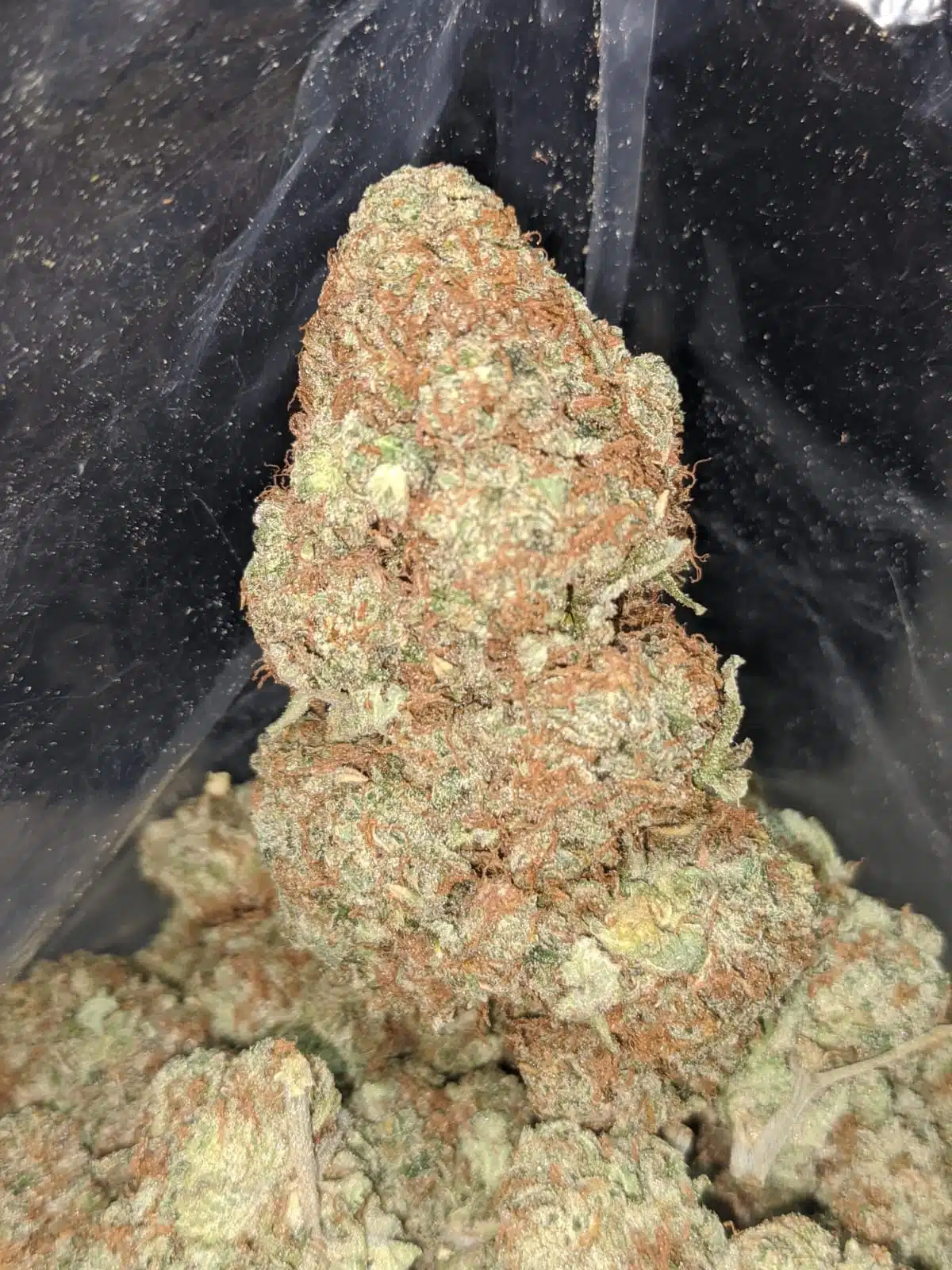 $ 53 Oz - Limoncello - Image 7