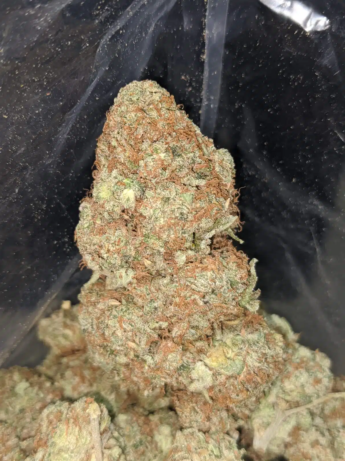 $ 53 Oz - Limoncello - Image 6