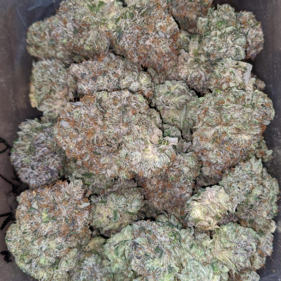 Platinum Pink Kush - Image 4