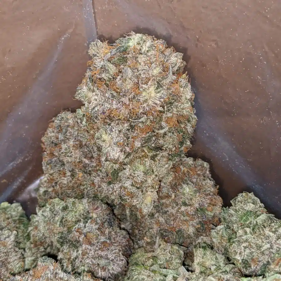 platinum pink kush 3 I Platinum Pink Kush