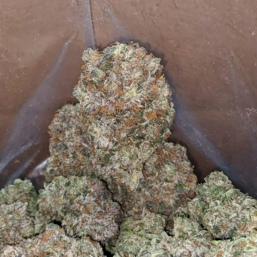 platinum pink kush 4 I Platinum Pink Kush