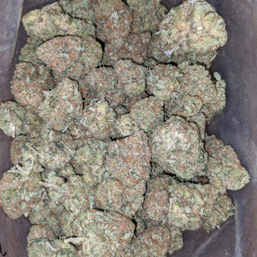 presidential bubba 1 I Presidential Bubba