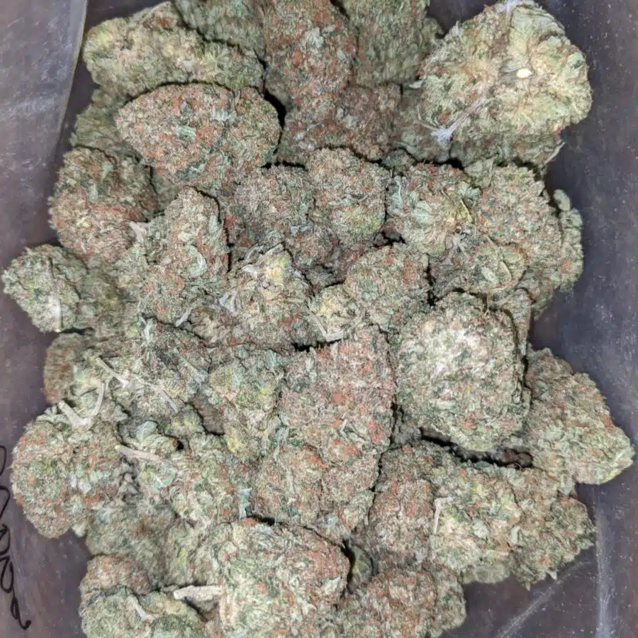 presidential bubba 2 I Presidential Bubba
