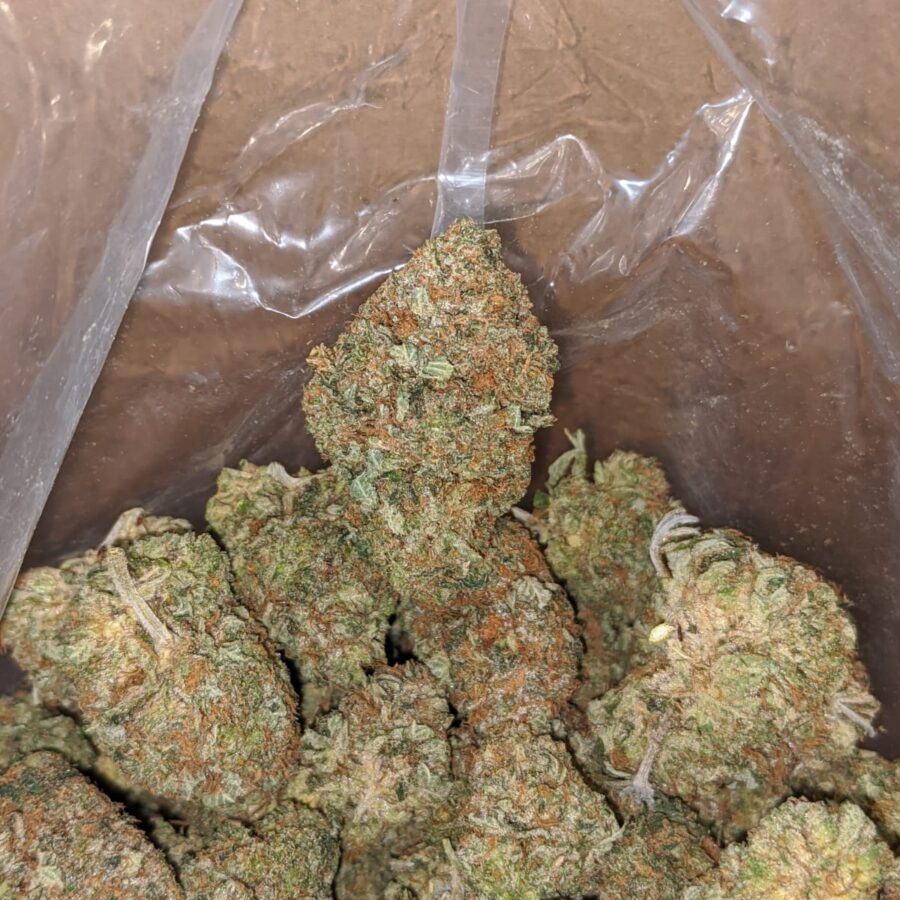 presidential bubba 3 I Presidential Bubba
