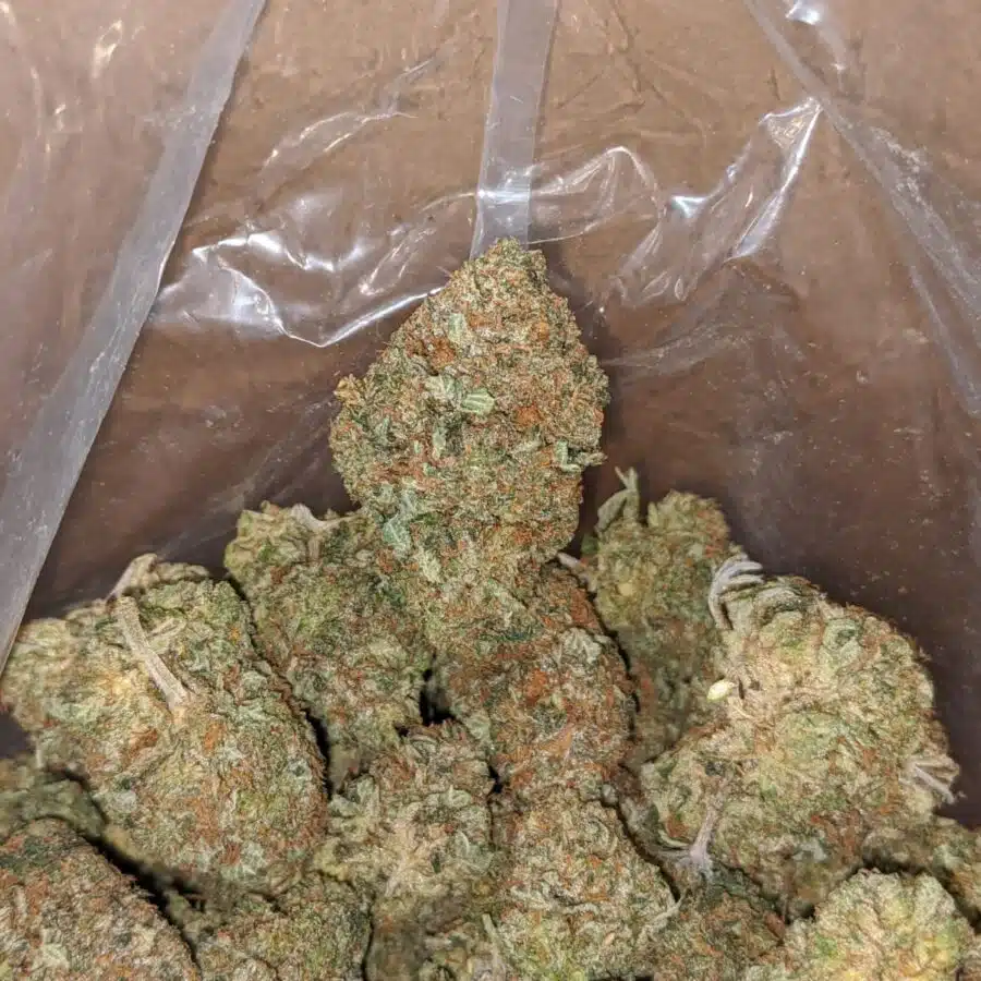 presidential bubba 3 I Presidential Bubba