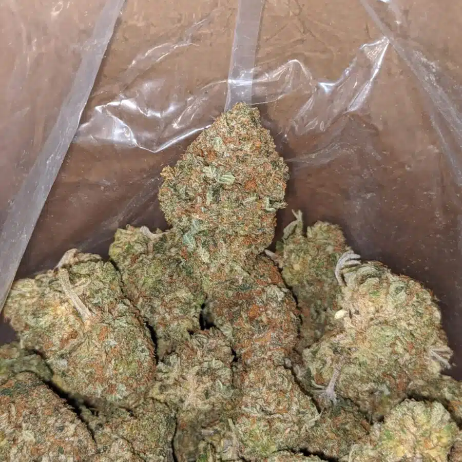 presidential bubba 4 I Presidential Bubba