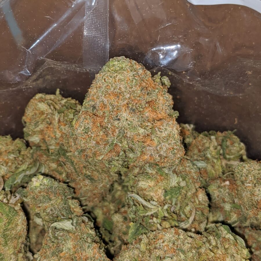 tonys nuken 1 I Tony's Nuken