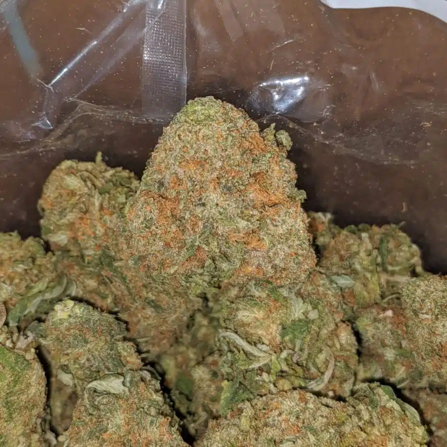 tonys nuken 1 I Tony's Nuken