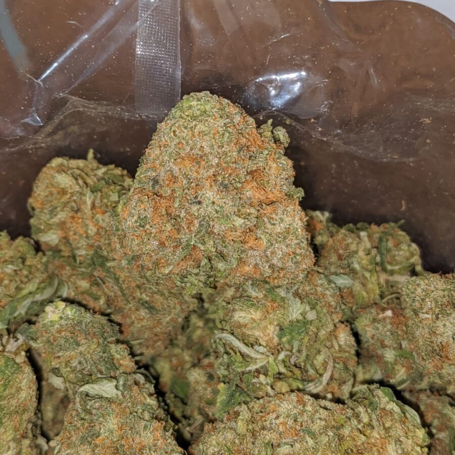tonys nuken 2 I Tony's Nuken