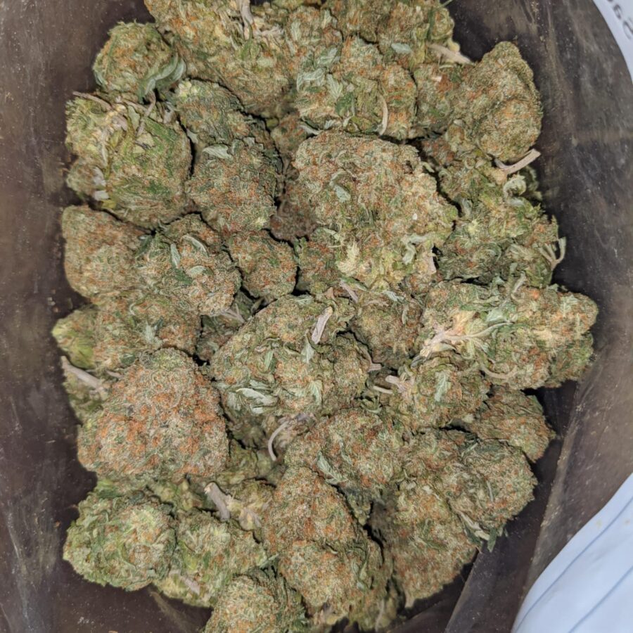 tonys nuken 3 I Tony's Nuken