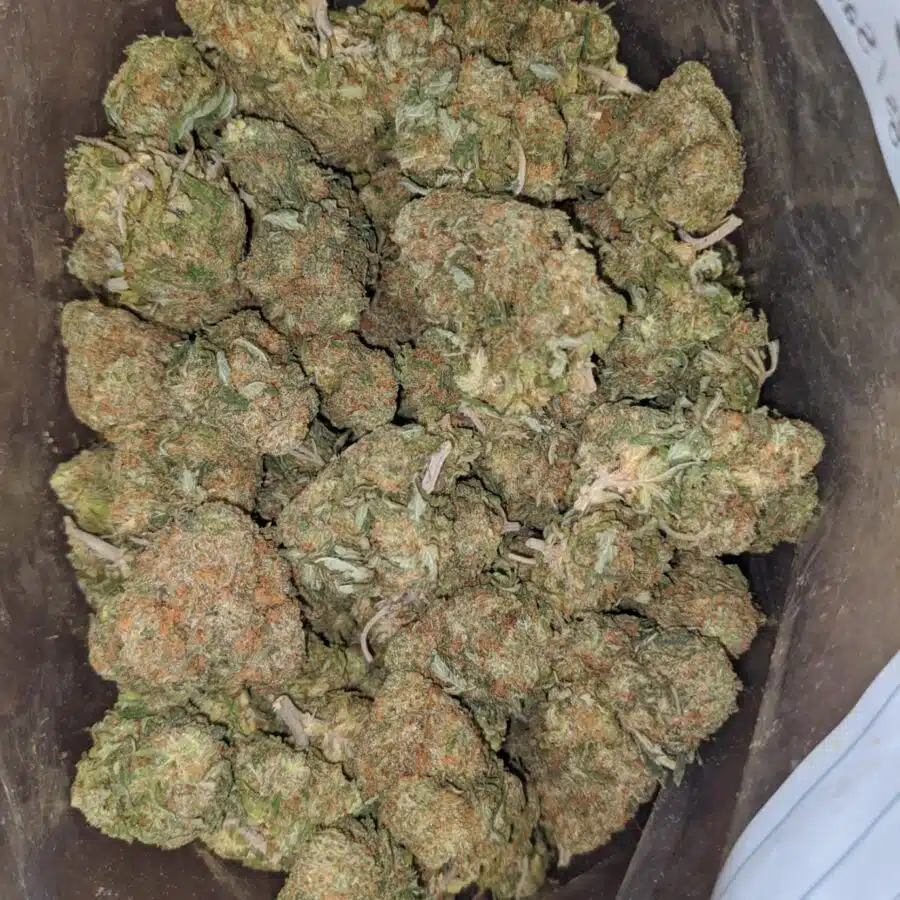 tonys nuken 4 I Tony's Nuken