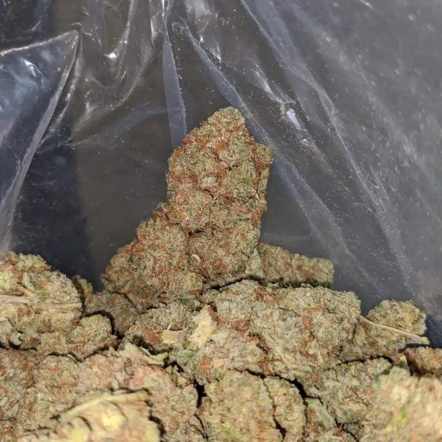 50 Oz lemon haze flat rate 2 I $50 Oz - Lemon Haze