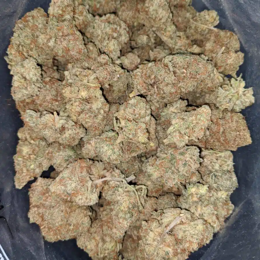 50 Oz lemon haze flat rate 3 I $50 Oz - Lemon Haze