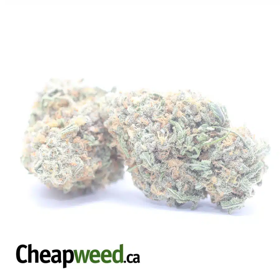 ALIEN COOKIES 1 I $ 57 Oz - Alien Cookies