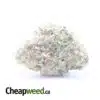 $ 57 Oz - Alien Cookies