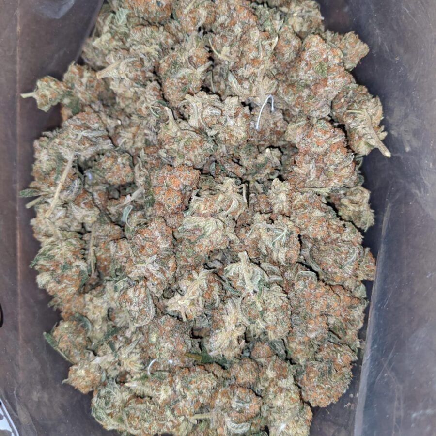 Agent O - Image 4