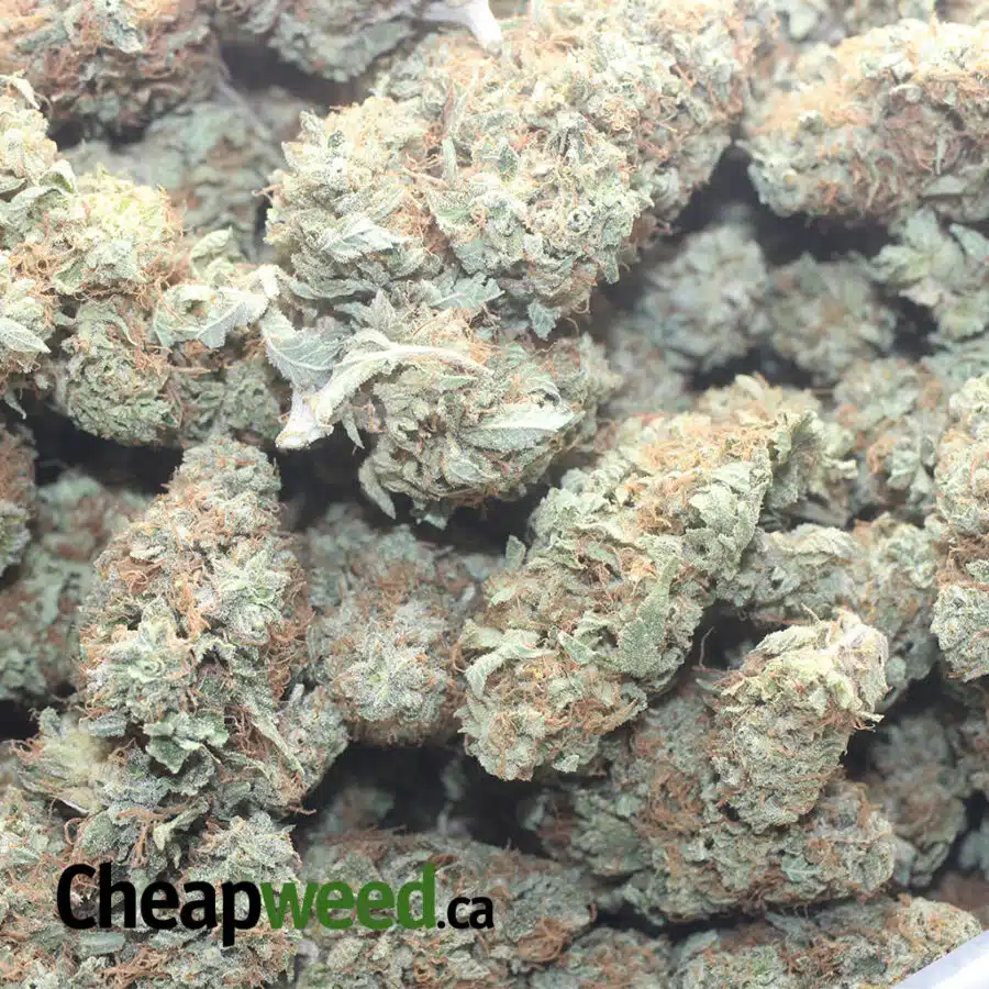BANANA BREAD 1 I $ 53 Oz - Banana Bread