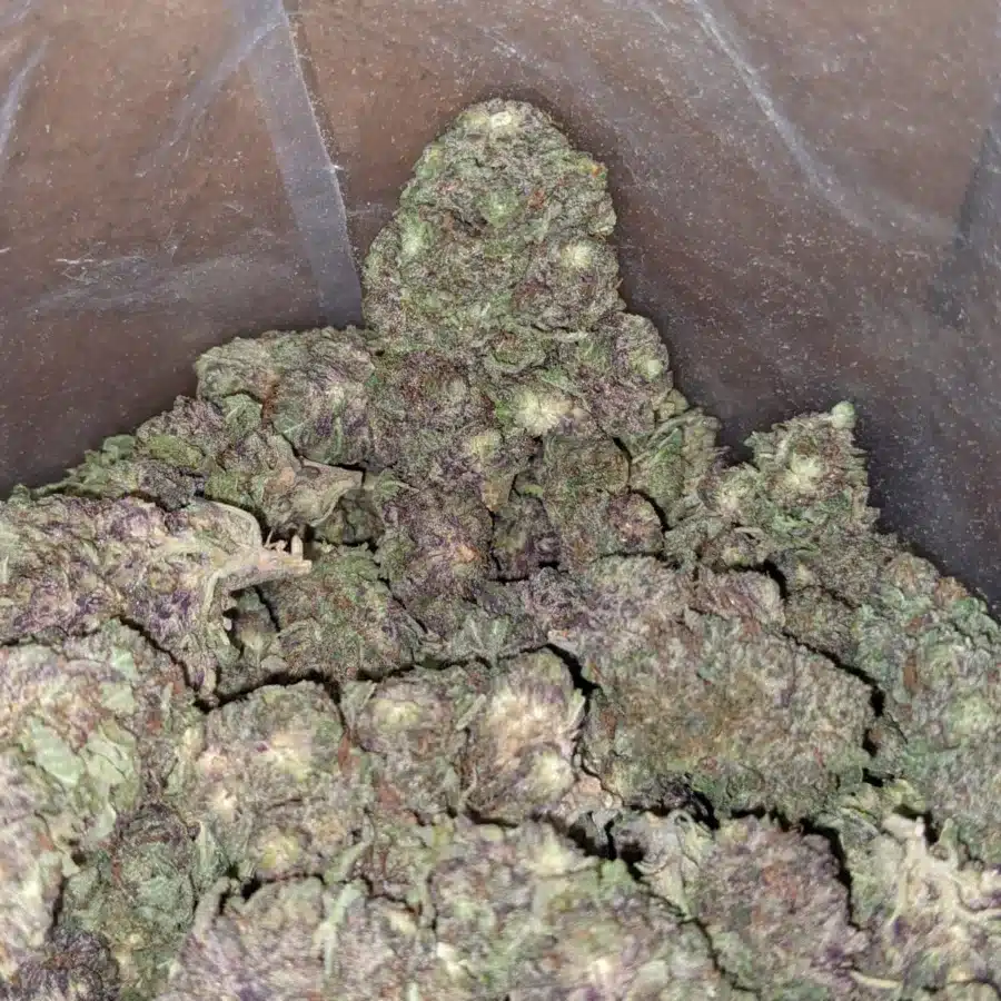 Black Widow Bulk Speical 1 I Black Widow Bulk Special