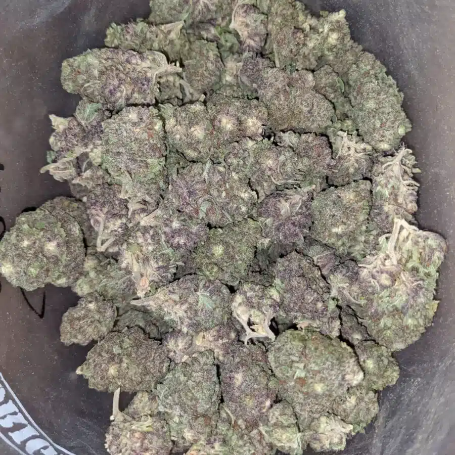Black Widow Bulk Speical 4 I Black Widow Bulk Special