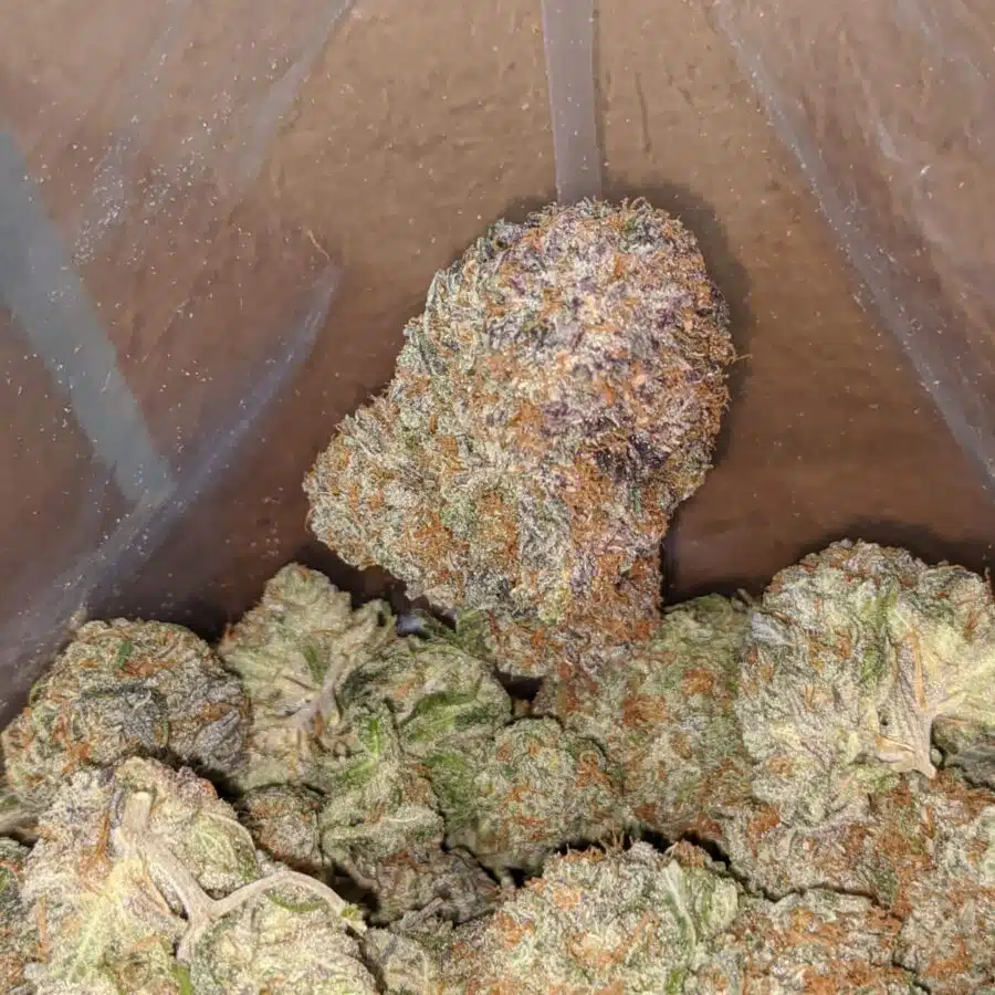 Blackberry 1 I $ 54 Oz - Blackberry
