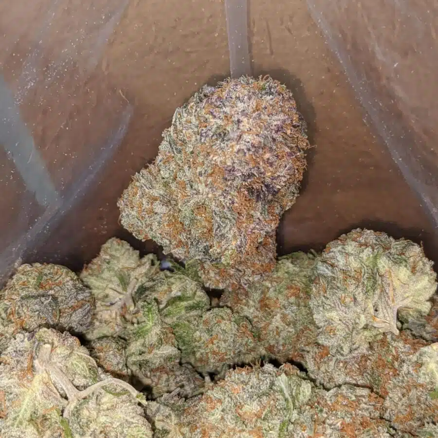 Blackberry 4 I $ 54 Oz - Blackberry