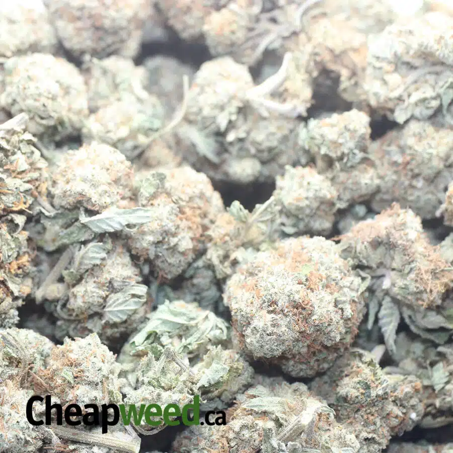 CHEMDAWG 1 I $ 50 Oz - Chemdawg