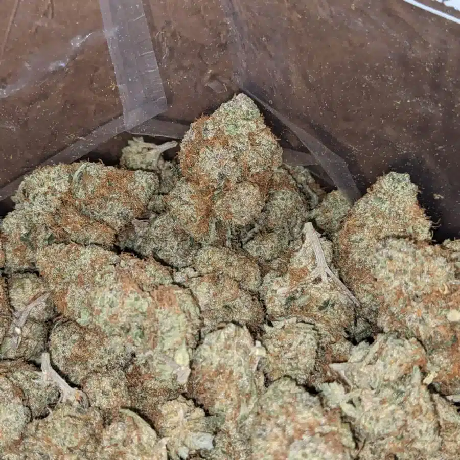 Candy Kush 2 I $47oz Candy Kush