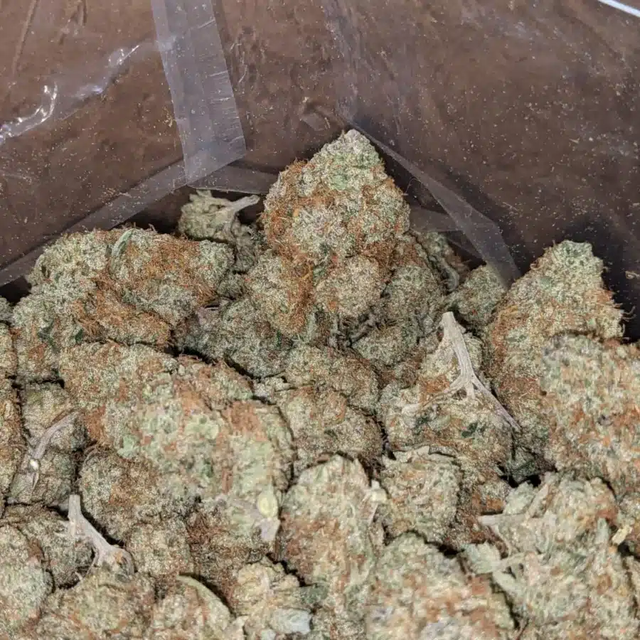 Candy Kush 3 I $47oz Candy Kush