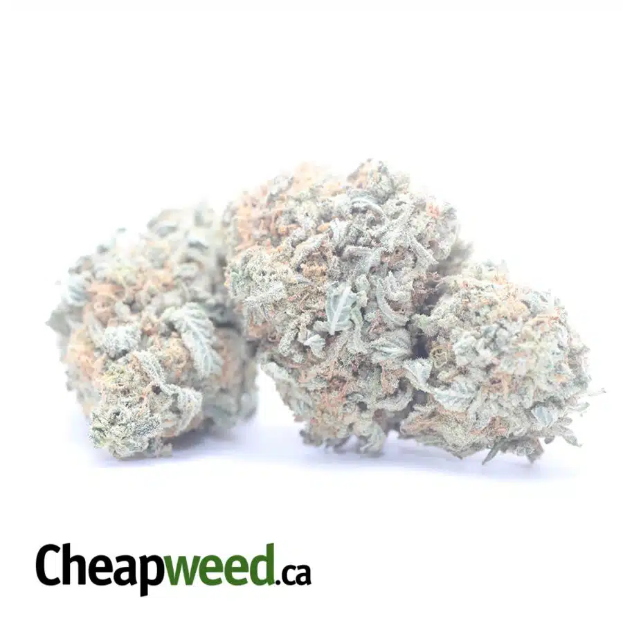 GRAPEFRUIT 1 I $ 51 Oz - Grapefruit