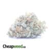 $ 51 Oz - Grapefruit