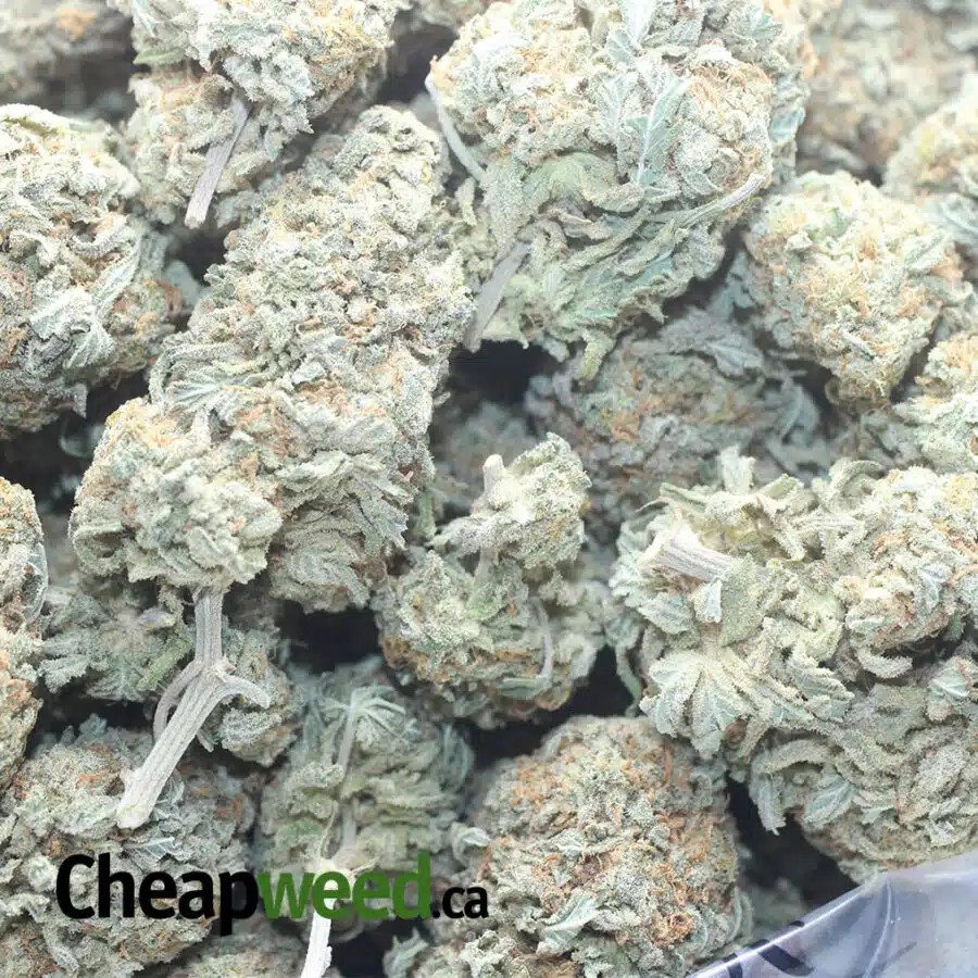 GRAPEFRUIT 5 I $ 51 Oz - Grapefruit