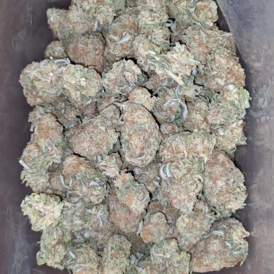 Jetfuel 3 I $ 45 Oz - Jetfuel