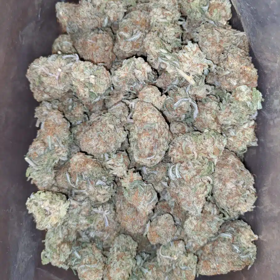 Jetfuel 4 I $ 45 Oz - Jetfuel